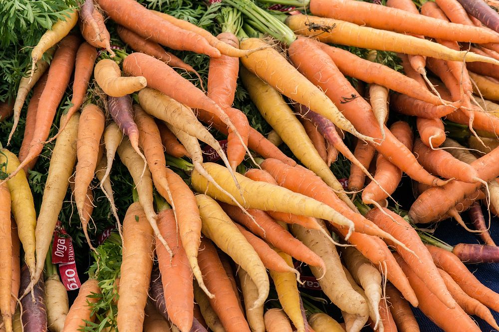 Organic carrots grown at Ground Stew Farms in San Martin, Monterey County, CA on Sunday, Aug. 23, 2015.
