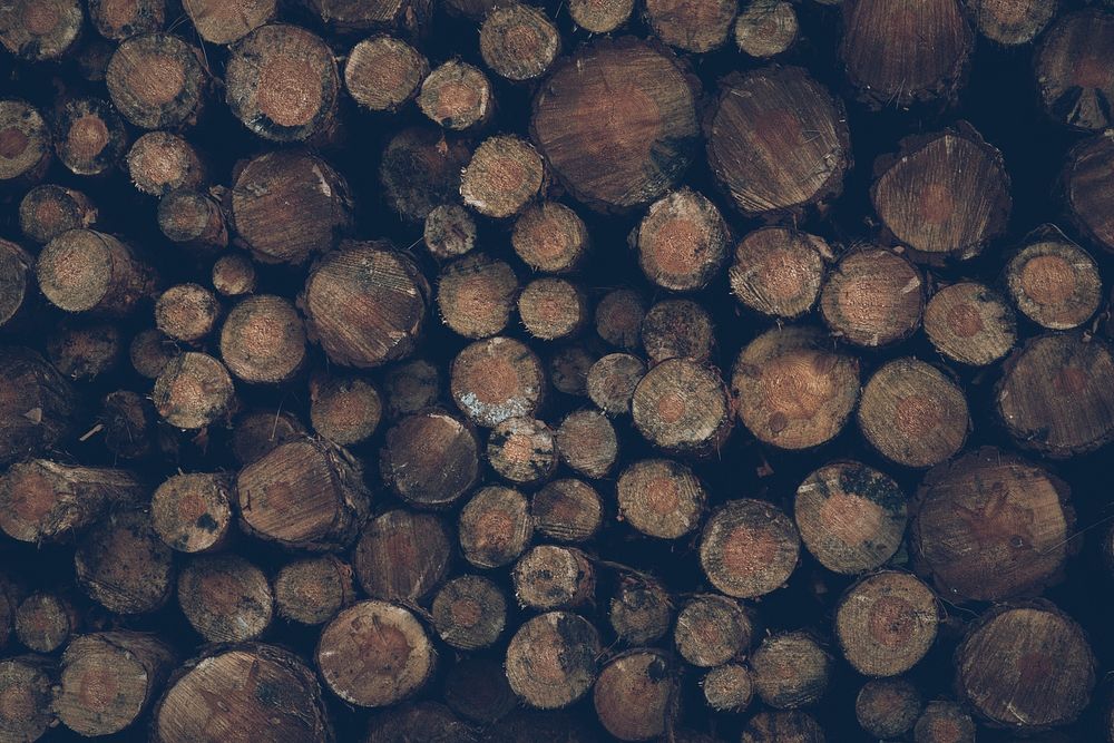 Wood Logs Background.