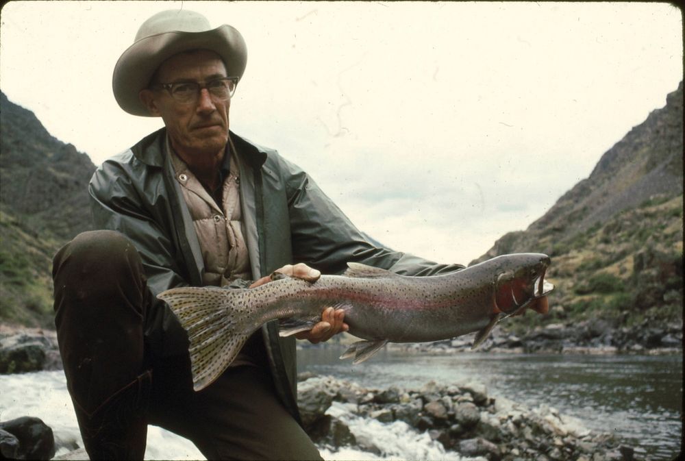 Hells Canyon Steelhead, W-WNF, OR. Original public domain image from Flickr