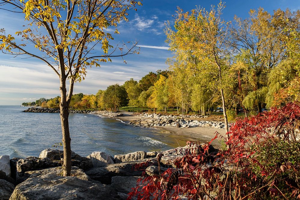 Autumn colours on the shore of Lake Ontario.