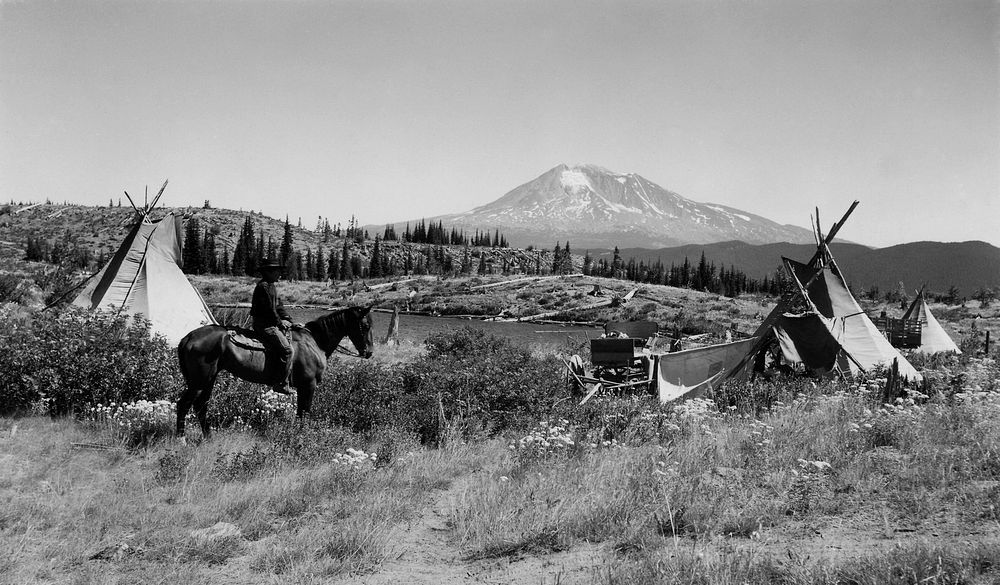 Campground Huckleberries, Mt. Adams, Columbia NF, WA 1937. Original public domain image from Flickr