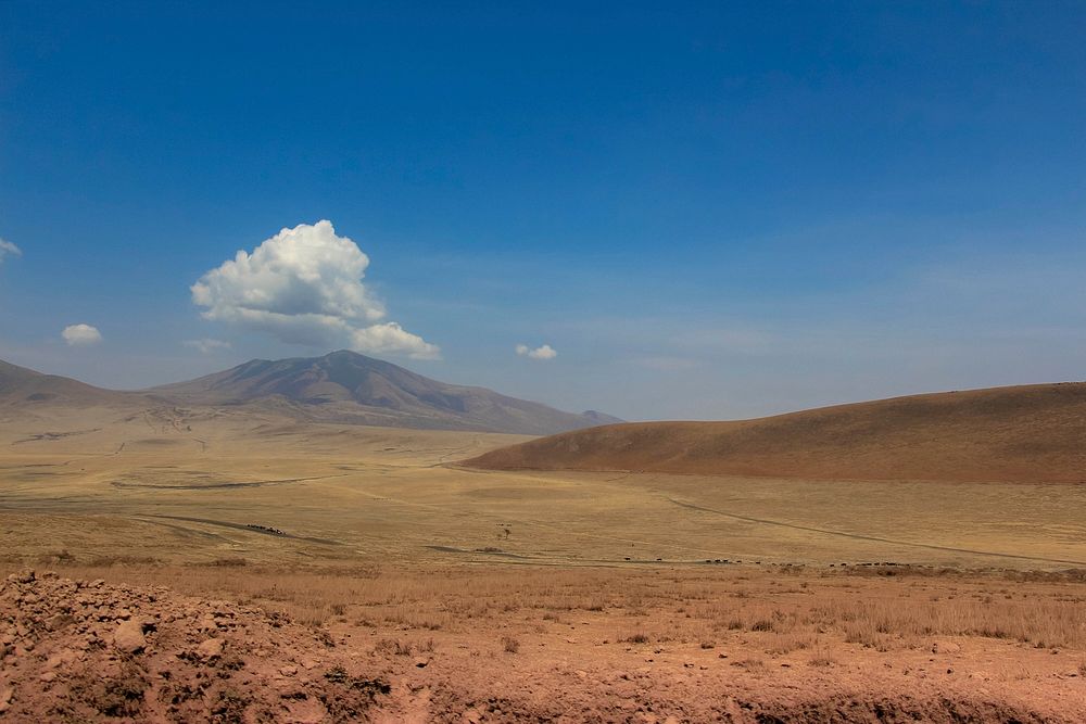 Tanzania landscape.