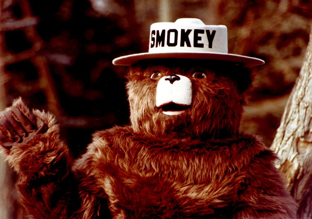 Smokey Bear Costume. Original public domain image from Flickr
