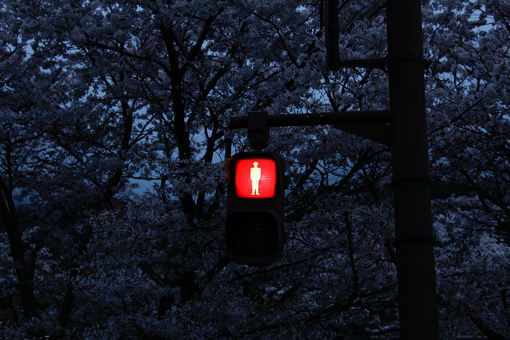 Red crossing light. Free public domain CC0 photo.