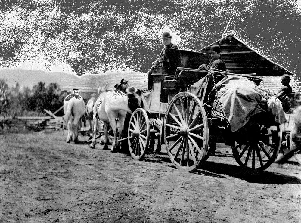Myrtle Point-Roseburg Stage Line, Changing Horses, ORSiuslaw National Forest Historic Photo. Original public domain image…