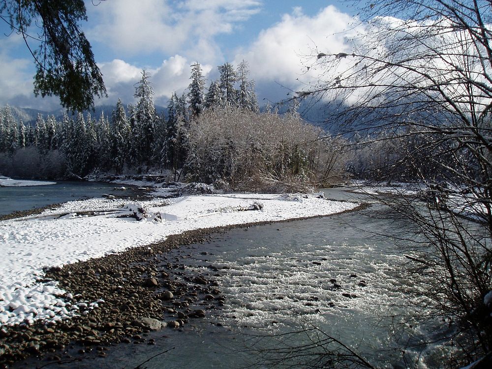 Queets river winter scenic snow. Original public domain image from Flickr