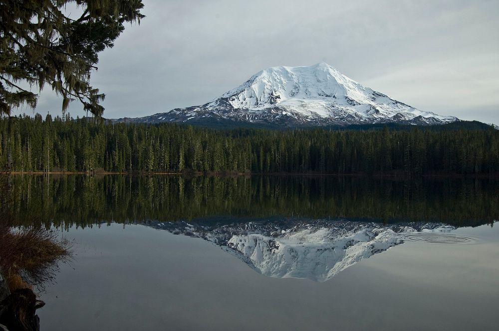 Mt. Adams and Takhlakh Lake, Gifford Pinchot National ForestView of Takhlakh Lake and Mt. Adams on the Gifford Pinchot…