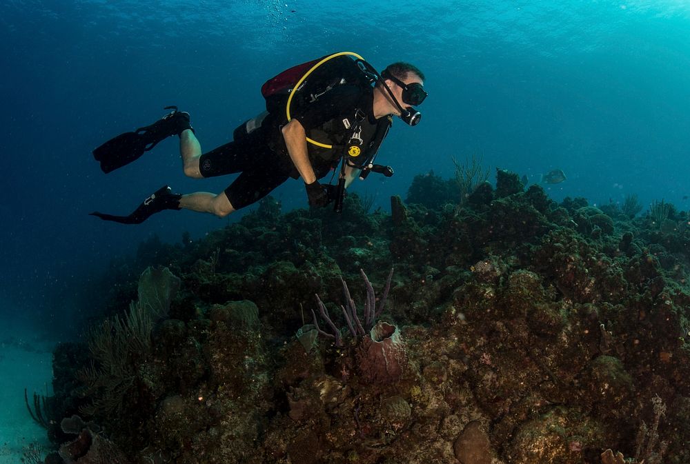 Capt. David Culpepper, Commanding Officer, Naval Station Guantanamo Bay, Cuba, surveys a healthy reef off the coast of…