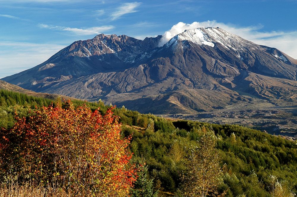 FALL COLOR AT MT ST HELENS-MT ST HELENSView of Mt St Helens during 2004 Eruption with Fall Colors in the Mt St Helens…