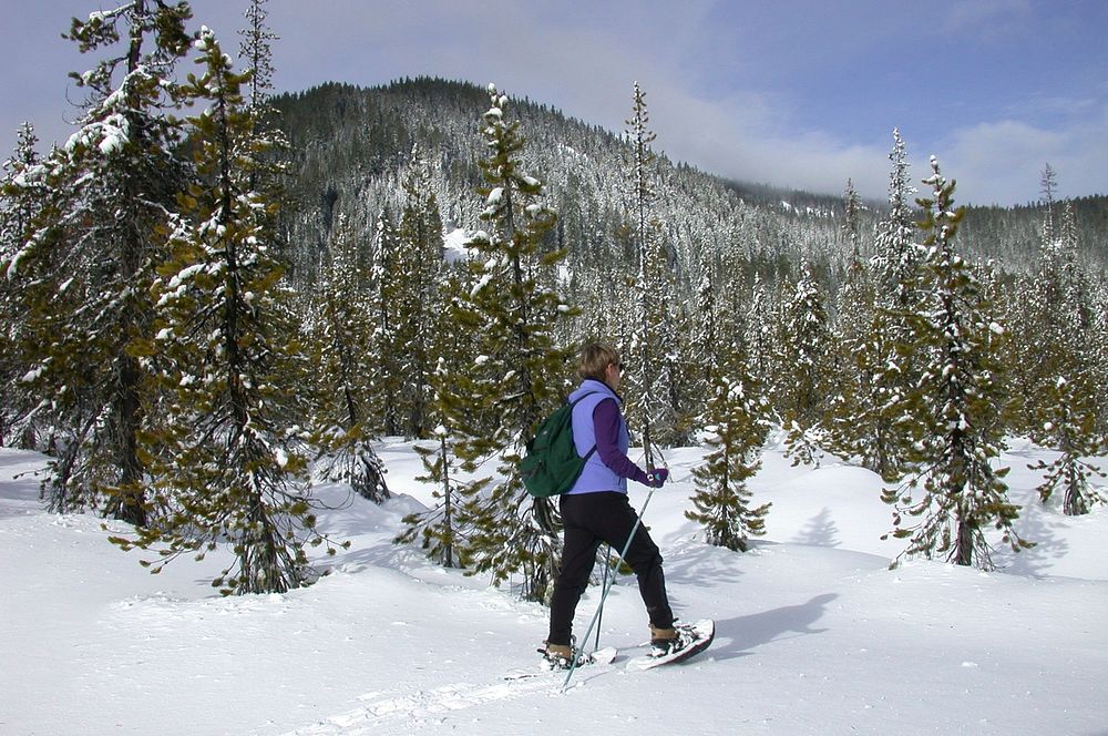 Snowshoeing at White River-Mt HoodWoman Snowshoeing at White River Snow Park on the South Eastern Slope of Mt Hood in the Mt…