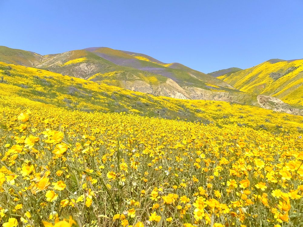 The Bureau of Land Management photo. Original public domain image from Flickr