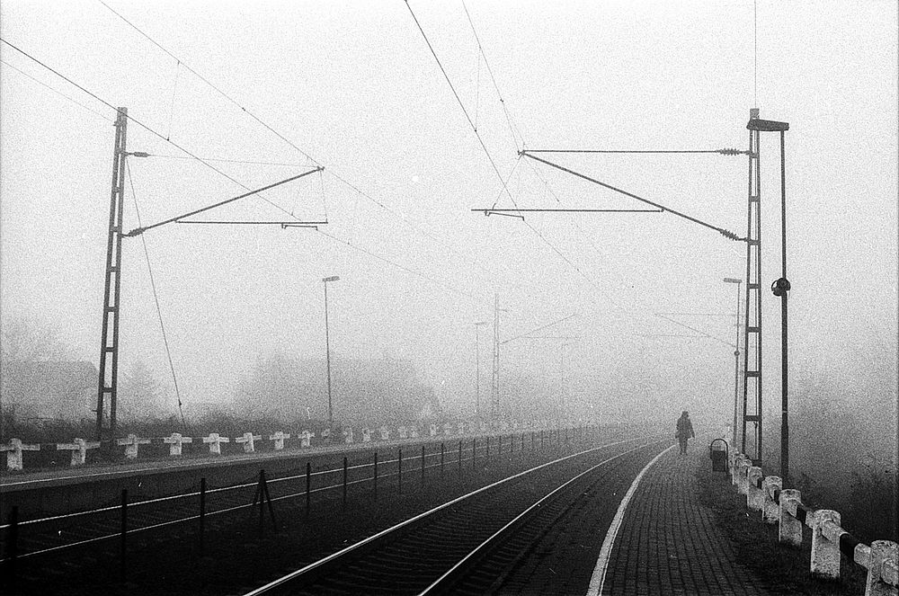 Man walking in fog. Free public domain CC0 photo.