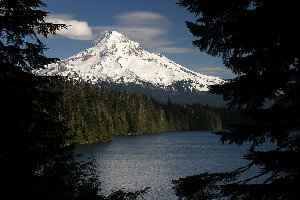 MT HOOD FROM LOST LAKE-MT HOODMt. Hood National Forest. Original public domain image from Flickr