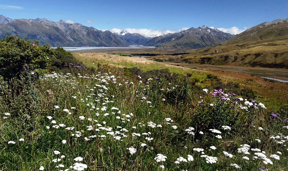 Open country. NZAs the planet heats up environmentally and politically, it’s good to know that New Zealand exists. This…