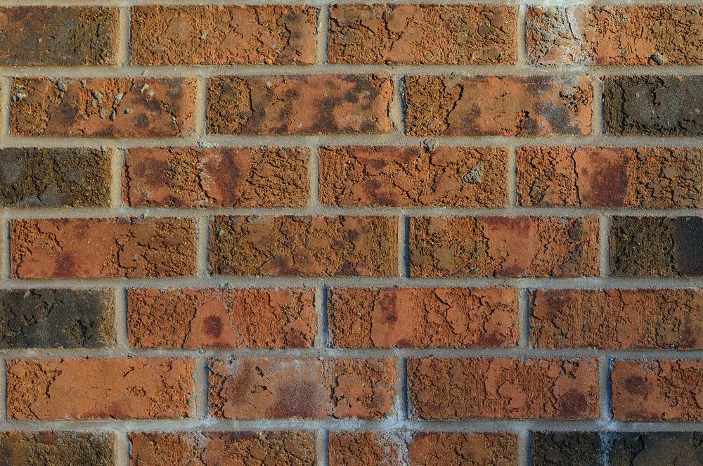 Brick wall texture. Free public domain CC0 photo.