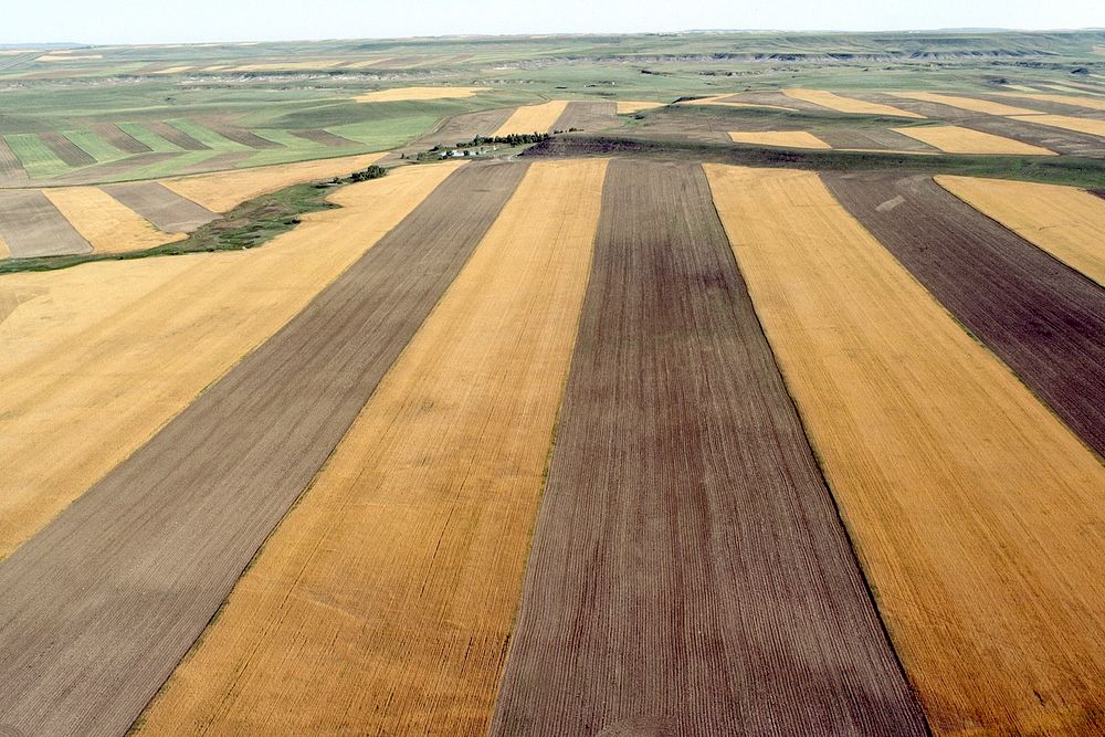 Aerial view of stripcropping north of Great Falls, July 1983. Original public domain image from Flickr