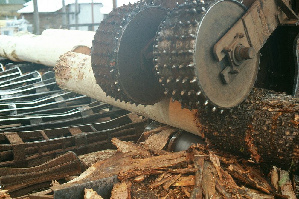 Wood debarker stripping bark off of tree at mill near Darby, September 1978. Original public domain image from Flickr