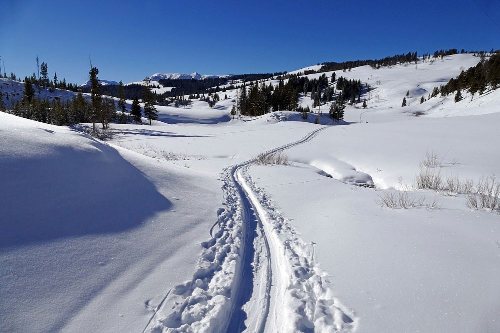 Cross-country ski tracks at the top of Snow Pass by Diane Renkin. Original public domain image from Flickr