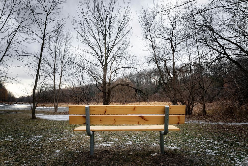 Park bench. Free public domain CC0 photo