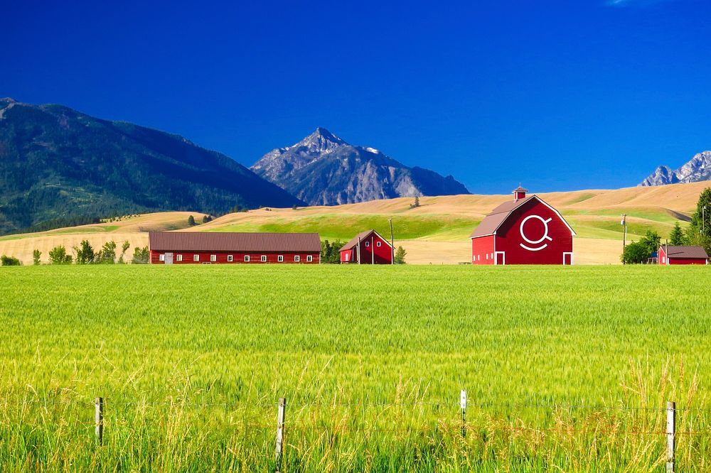 Red Barns and Mountains at Joseph, Wallowa Whitman National Forest, Enterprise and Joseph Oregon Scenery in the Wallowa…