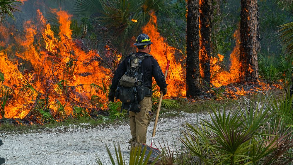 Firefighter. Original public domain image from Flickr