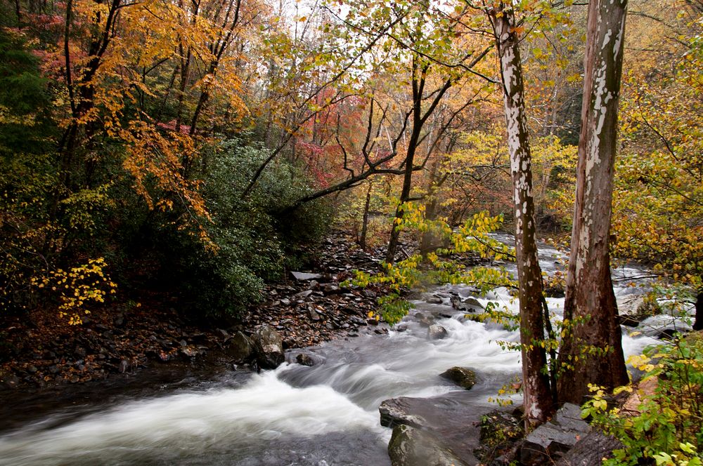 Autumn river background. Original public domain image from Flickr
