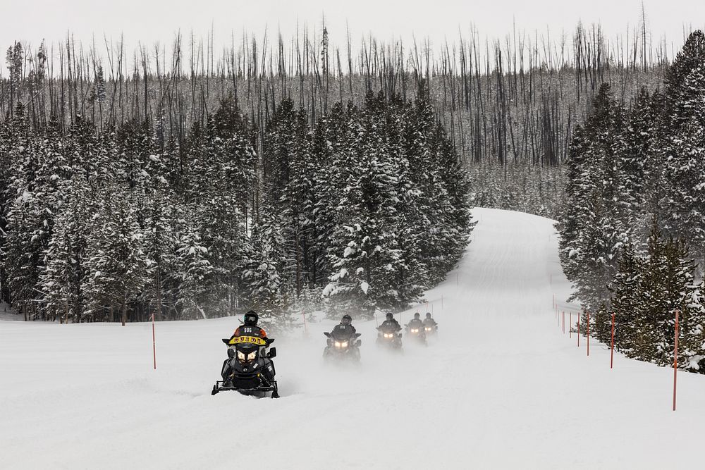Guided snowmobile group arriving at Canyon Village. Jacob W. Frank. Original public domain image from Flickr