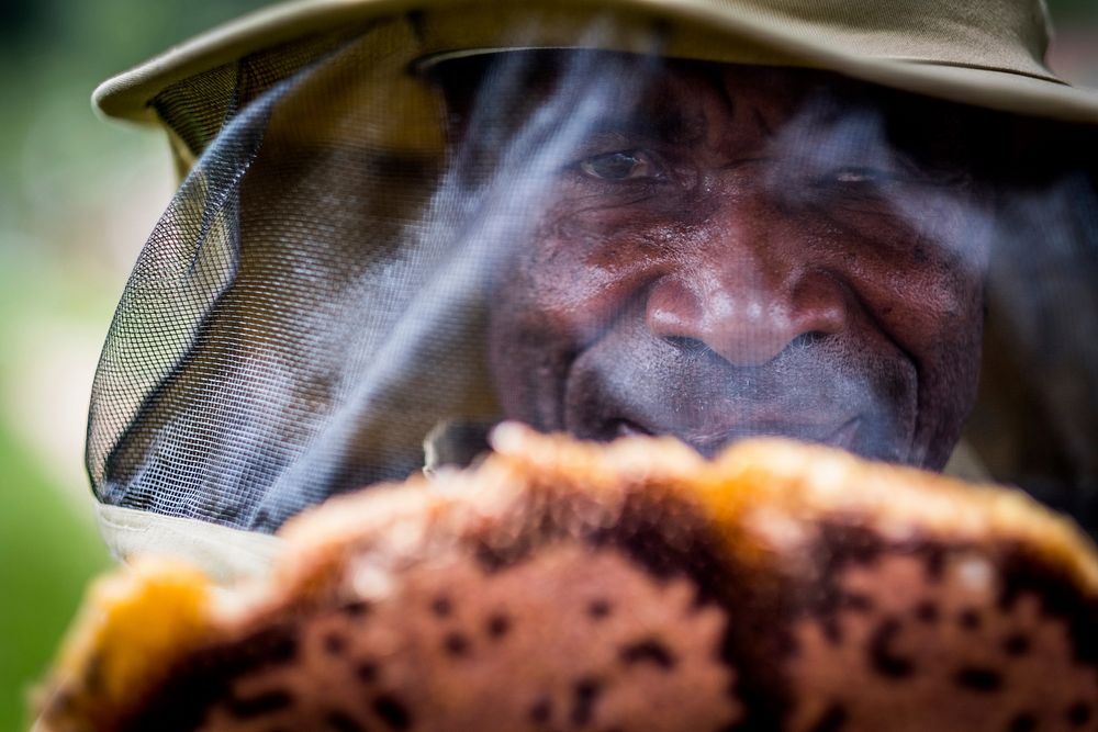 African bee keeper close up, Rubuguri, Uganda, September 2017.