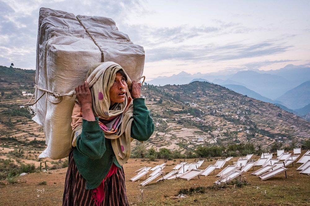 Person carrying Lokta bark paper bundles, Kailash, Bajhang District, Nepal, October 2017.