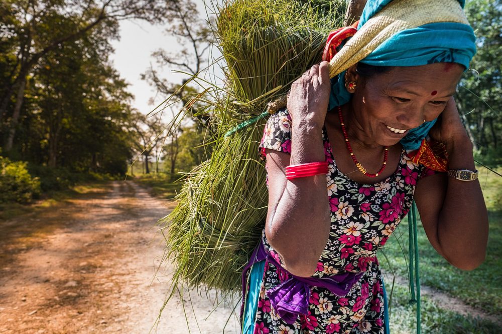 Woman carrying grass on back, Kumrose, Nepal, November 2017.