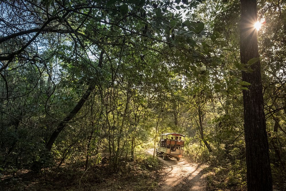 Safari jeep in Community Forest, Kumrose, Nepal, November 2017.