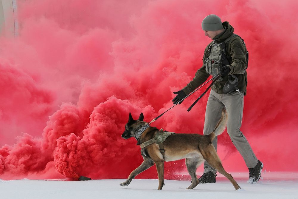 U.S. Air Force Staff Sgt. Joe Burns and military working dog, Ciko, assigned to the 673d Security Forces Squadron, conduct K…