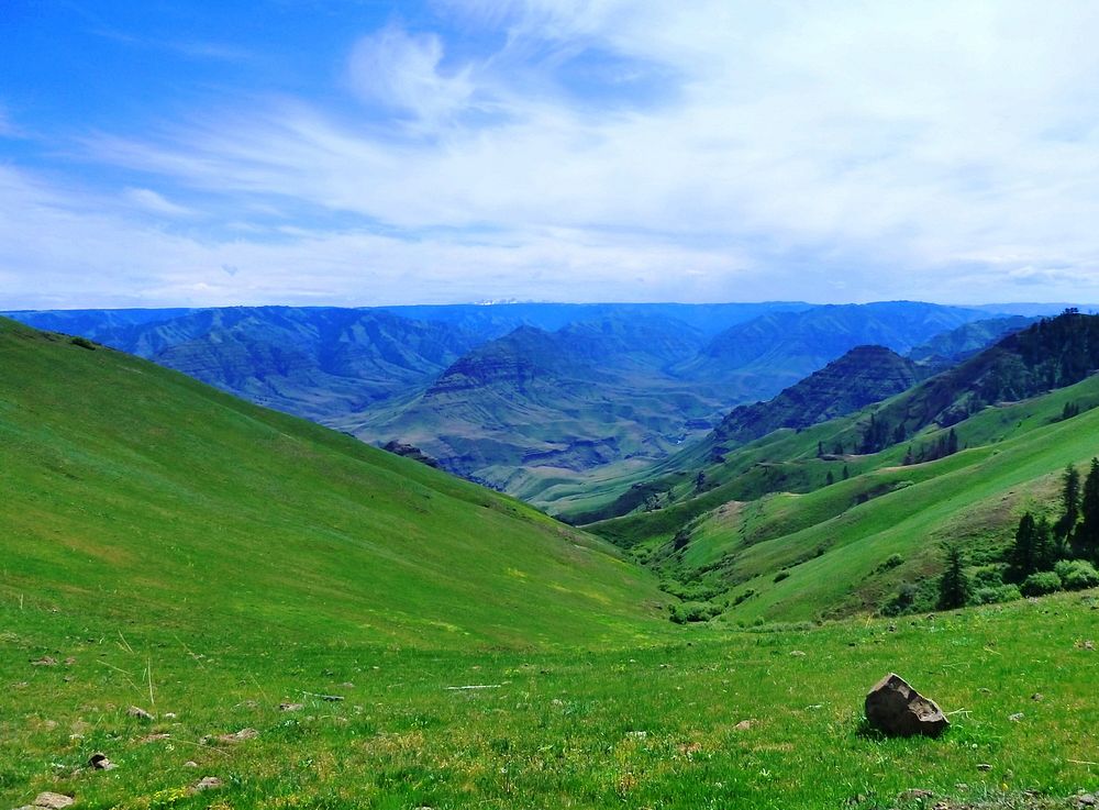 View from Cemetery Ridge, Wallowa-Whitman National Forest. Original public domain image from Flickr