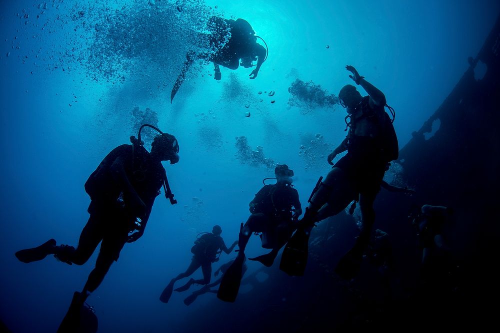 U.S. Navy divers assigned to Explosive Ordnance Disposal Mobile Unit (EODMU) 5 swim with Sri Lankan navy divers during a…