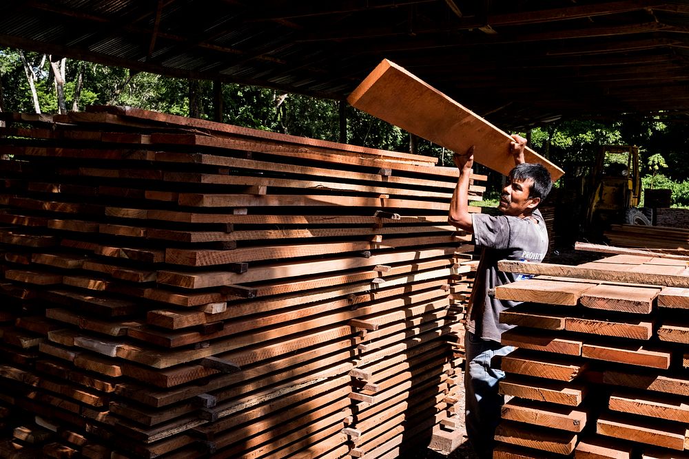 Man working in sawmill, Uaxactun, Guatemala, November 2017.