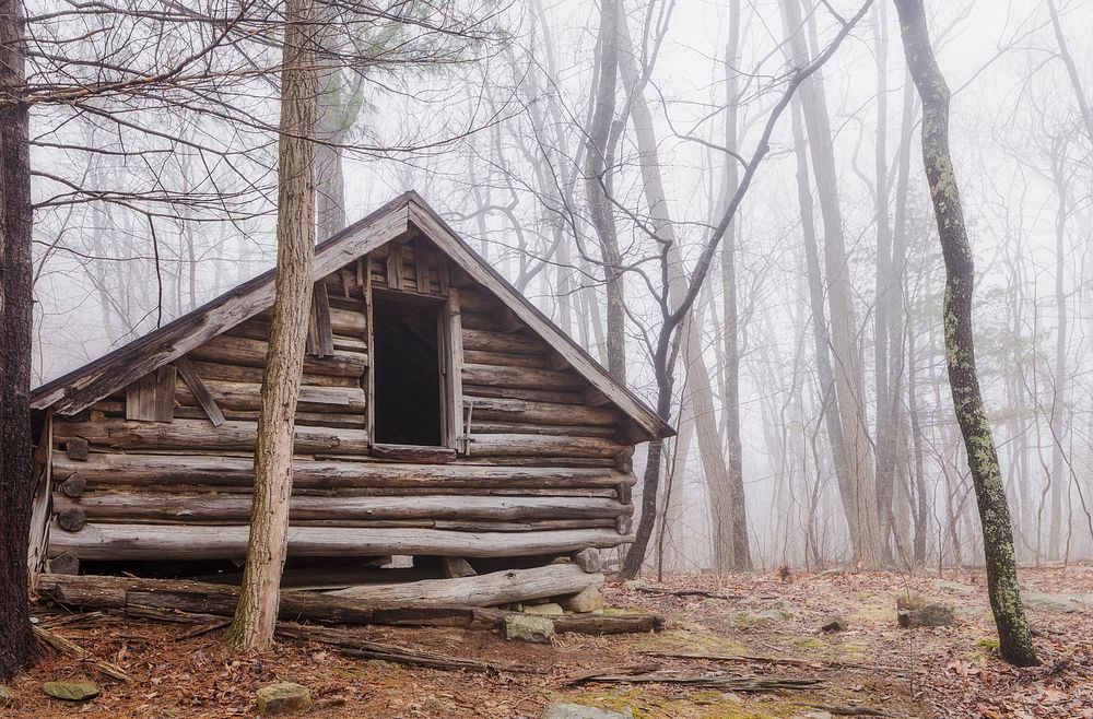 Abandoned cabin in the forest. Free public domain CC0 photo.
