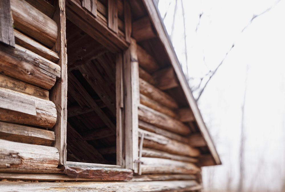 Abandoned cabin in the forest. Free public domain CC0 photo.