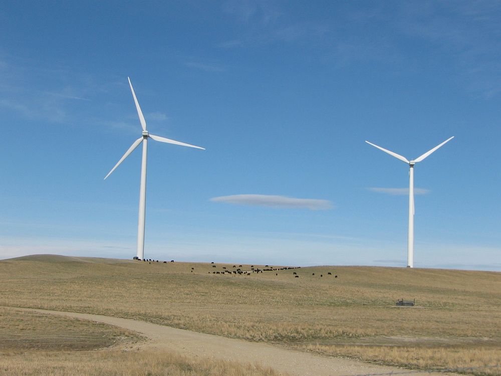 Wind farm near Judith Gap, Montana. April 20, 2009. Original public domain image from Flickr