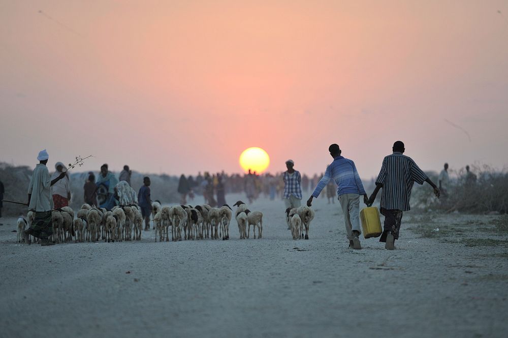 Two young boys carrying water walk down a road, Somalia. Original public domain image from Flickr