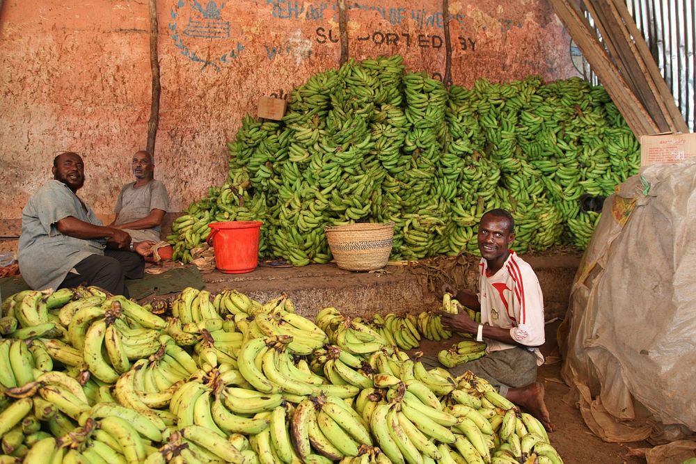 A man readies bananas for sale during the holy month of Ramadan at a market in Mogadishu, Somalia, on July 11. AMISOM Photo…