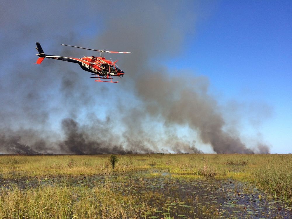 Helicopter on Loxahatchee prescribed fire. Original public domain image from Flickr