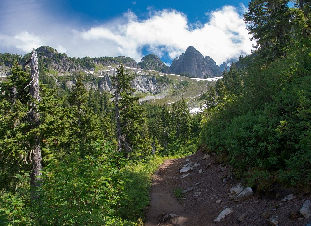 The Pacific Northwest Trail below Mt. Shuksan, Mt. Baker-Snoqualmie National Forest. Original public domain image from Flickr