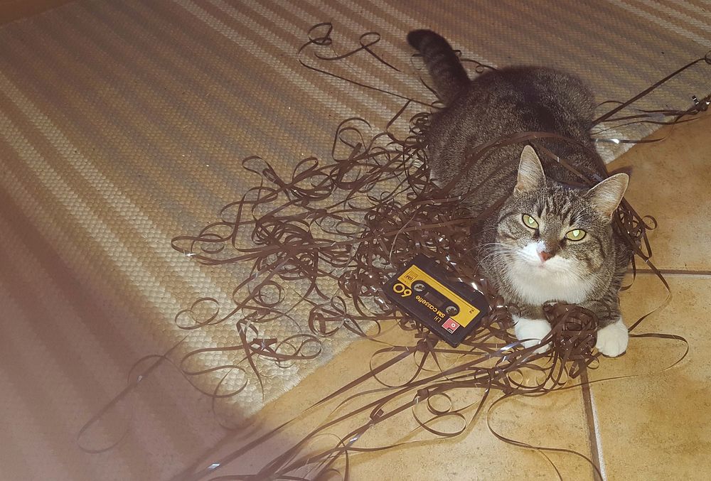 Cat sitting on rolled out audiotape. Original public domain image from Flickr