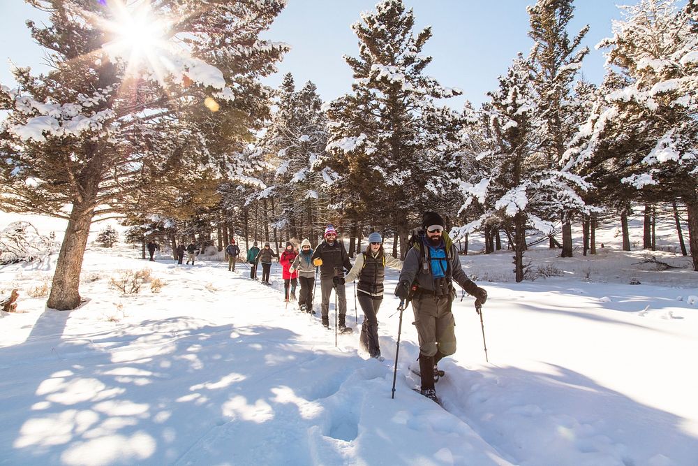 Yellowstone Forever Cougar Course - Snowshoeing at Hellroaring by Jacob W. Frank. Original public domain image from Flickr