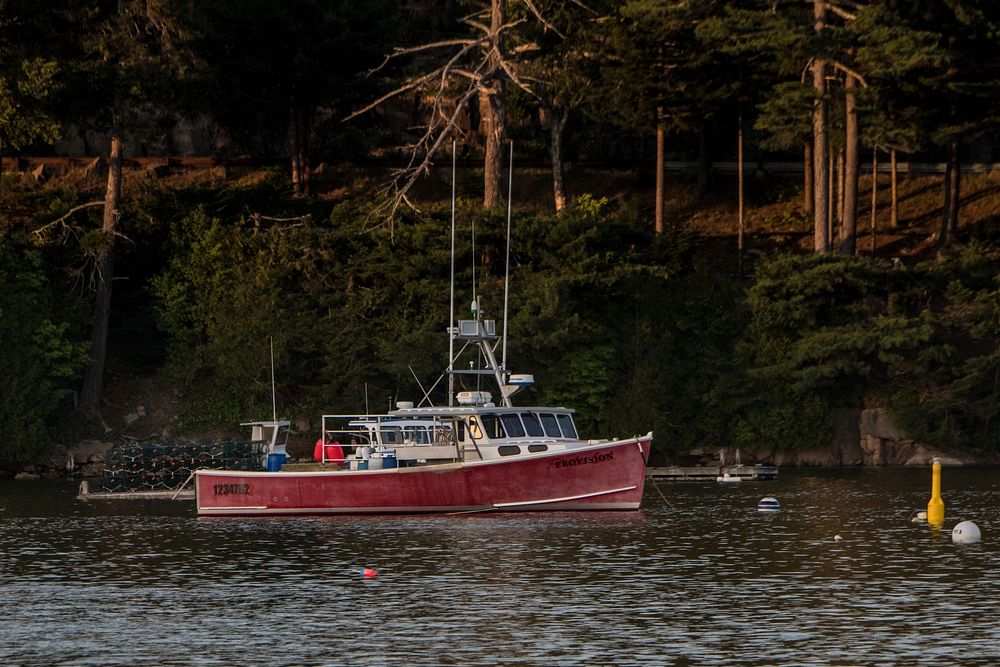 Fishing vessels at Northeast Harbor, Maine, on July 9, 2018. USDA Photo by Lance Cheung. Original public domain image from…