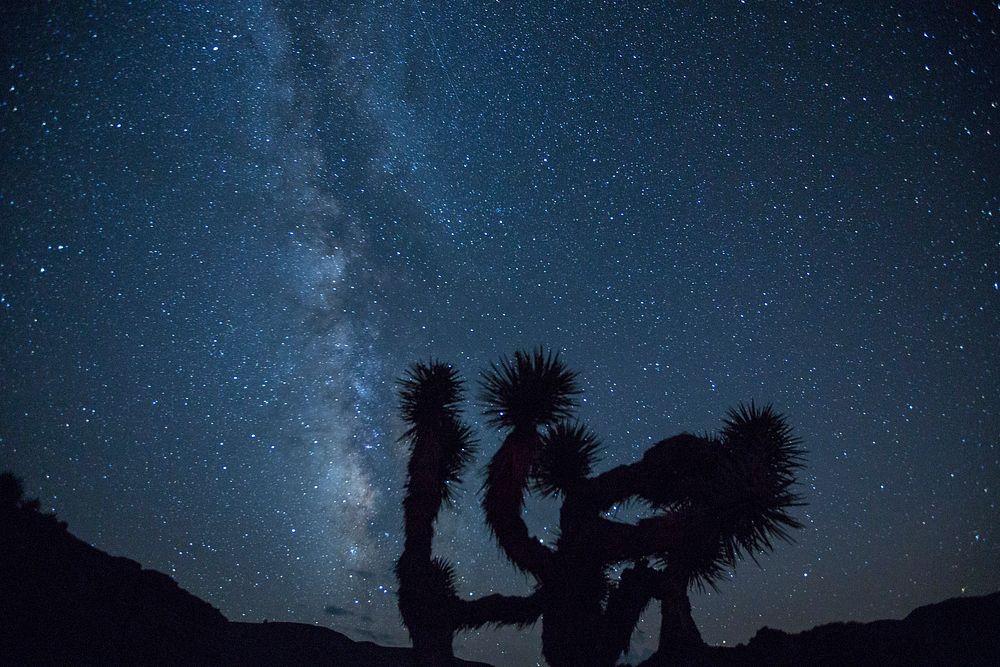 Portions of the Inyo, Sylvania, and Piper Mountains, for which this Wilderness takes its name, can be found within this area…