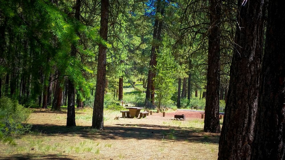 Campsite at Smiling River Campground along the Metolius River on the Deschutes National Forest in Central Oregon. Original…