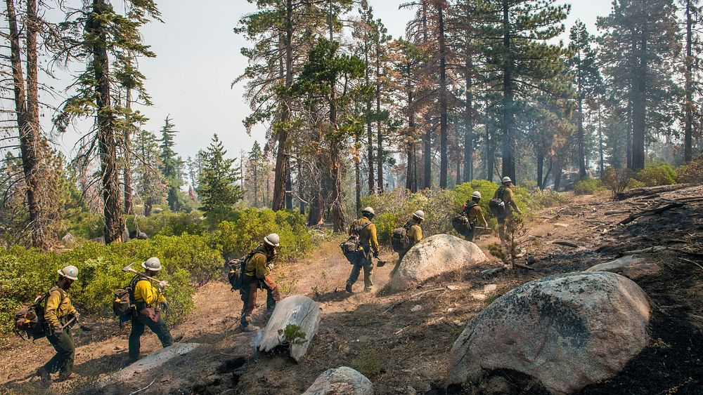 U.S. Department of Agriculture (USDA) Forest Service (FS) Smith River Hotshot Forestry Technicians move hike along fire…