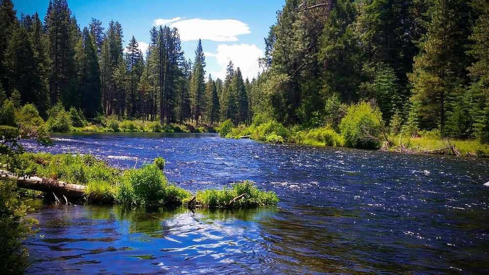 Metolius River by Allen Springs Campground on the Deschutes National Forest in Central Oregon. Original public domain image…