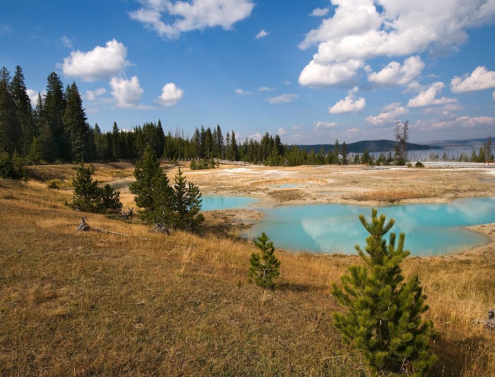 West ThumbThe water level in many of the pools of the West Thumb Geyser Basin appears to have dropped since Jackson first…